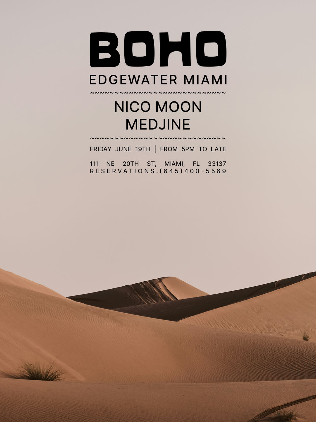 NICO MOON & MEDJINE